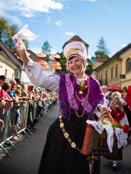 Izjemen obisk zaznamoval 50. Dneve narodnih noš in oblačilne dediščine v Kamniku (Blaž T. Muc)  (97)